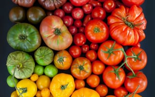 Картинка разноцветные, помидоры, томаты, овощи