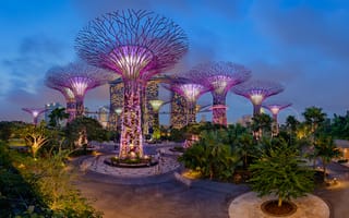 Картинка ночь, сад, деревья, сингапур, пальмы, gardens by the bay, дизайн, парк, огни