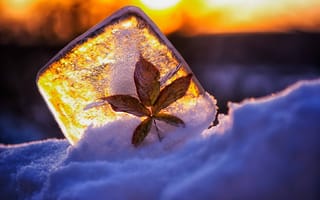 Картинка снег, лёд, кубик, лист