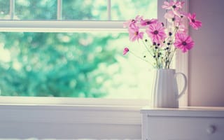 Картинка цветы, букет, окно, ваза, космея
