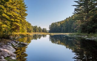 Картинка деревья, канада, алгонкинский провинциальный парк, отражение, озеро, лес