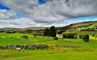 Картинка небо, парк, деревья, северная англия, тучи, йоркшир-дейлз, овцы, зелень, природа, животные, национальный, пейзаж, дом