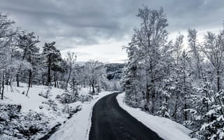 Картинка небо, дорога, облака, чёрно-белое, деревья, зима, снег