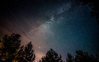Картинка ночь, деревья, звезды, млечный путь, космос