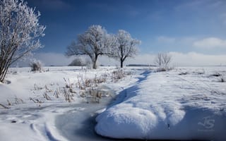 Обои деревья, снег, зима, природа, река