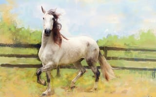 Картинка лошадь, белая, ограждение, конь, поле, живопись, светлая, картина, пастельные тона, графика