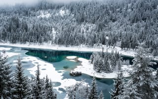 Картинка снег, зима, озеро каума, флимс, швейцария, лес