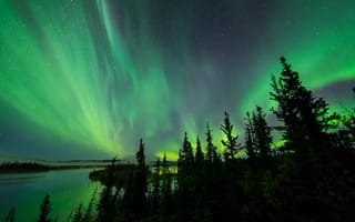 Картинка небо, озеро, деревья, силуэты, северное сияние, aurora borealis, северные огни