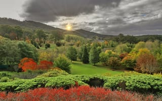 Картинка пейзаж, южная австралия, осень, lofty botanic gardens, аделаида-хиллс