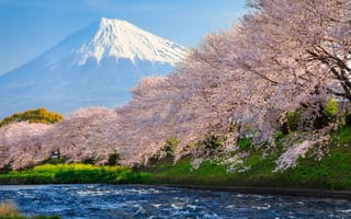 Картинка Япония, река, 4k, горы, весна, сакура