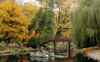 Картинка природа, парк, листья, камни, мостик, деревья, пруд, ива, осень