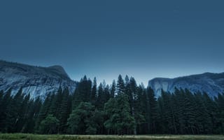 Картинка Foresta, us, california, штат калифорния, yosemite valley, сша