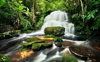 Картинка джунгли, водопад