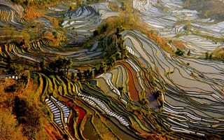 Картинка китай, Yunnan, поля, плантации