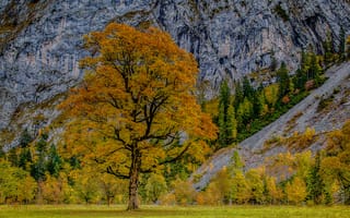 Картинка alps, альпы, Karwendel, карвендель, austria, осень, австрия