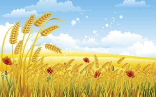 Картинка лето, пшеница, Облака
