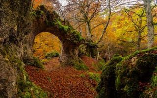 Картинка осень, Страна басков, Urabain, Испания
