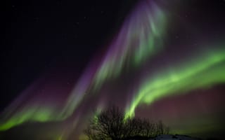 Картинка ночь, Исландия, северное сияние