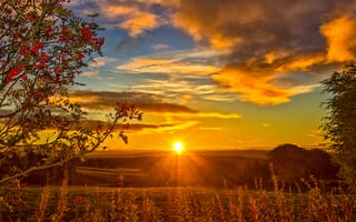 Картинка рябина, Шотландия, осень, Облака