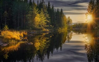 Картинка Jorn Allan Pedersen, лучи солнца, осень
