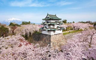 Картинка Япония, красиво, Весна