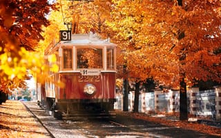Картинка пражская осень, желто-коричневая листва, старый трамвай