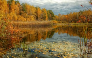 Картинка пруд, тема, осень, пасмурно, красиво, рыбалка, Облака