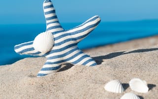 Картинка blue, Seashells, summer, sand, beach, starfish, ракушки