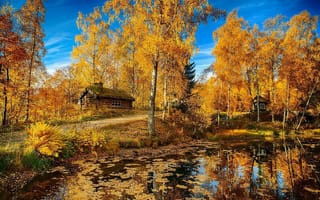 Картинка осень, красиво, пруд, домики