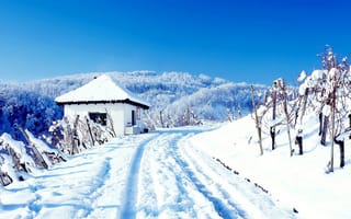 Картинка snowy, mountain, patch, tree, Cottage, house