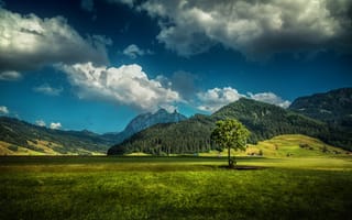 Картинка Пейзаж, швейцария, дома, холмы