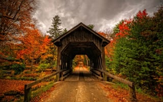 Картинка bridge, forest, autumn, leaves, walk, trees, park, fall, view