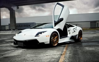 Обои спортивный, автомобиль, Lamborghini