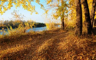 Картинка осень, river, Road, autumn