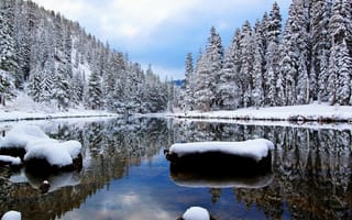 Обои winter, речка, the, snow, river
