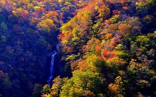 Картинка водопад, Япония, ручей, осень, Zao Onsen, вид сверху