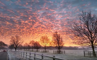 Картинка winter, morning, uk, sunrise