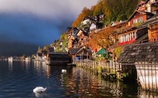 Картинка austria, гальштат, hallstatt, lake hallstatt, австрия, Гальштатское озеро, Вода, Халльштатт, Лебеди, дома