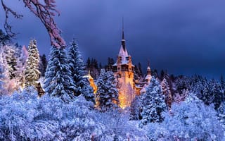 Картинка scenery, peles, winter, sinaia, Romania