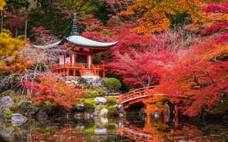 Обои кусты, пруд, Япония, мостик, осень, киото