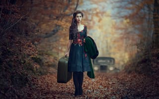 Картинка Monica Lazar, листва, платье, настроение, чемодан, осень, ожидание