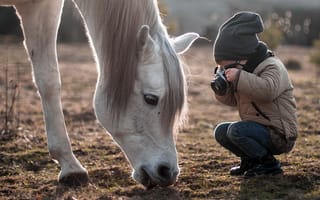Картинка камера, конь