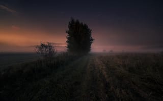 Картинка ночь, туман