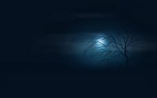Картинка одинокое дерево, ночь, пустота, ливень, сумрак, туман, Полная луна, в темноте