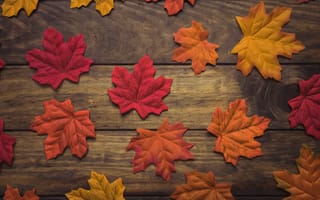 Картинка autumn, leaves, maple, wood, осенние, осень