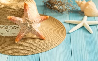 Обои Звезда, ракушки, доски, beach, wood, starfish, Seashells, Marine, summer