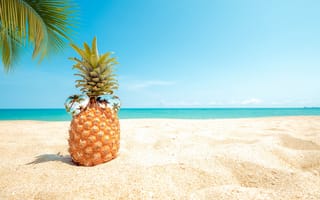 Картинка лето, paradise, sand, palms, pineapple, tropical, отдых, summer, sunglasses, seascape, beach, каникулы, ананас, очки