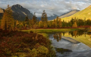 Картинка осень, берег, отражение, растительность, водоем, горы, деревья