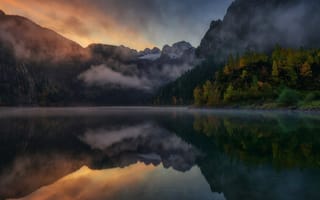 Картинка лес, природа, туман, горы, oзеро
