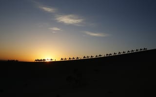 Картинка Облака, люди, пустыня, караван, верблюды